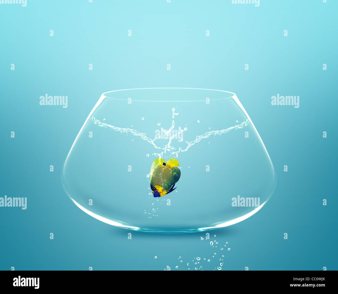 Anglefish jumping to Big bowl, Good Concept for new life, Big Opprtunity, Ambition and challenge concept. Stock Photo