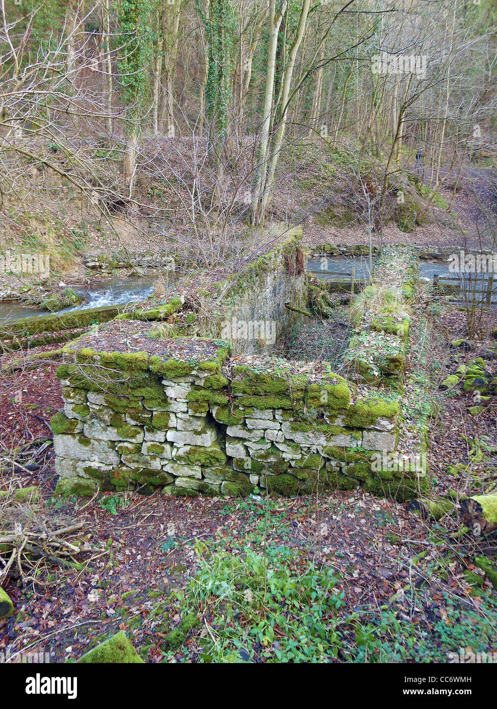 Remains of the wheelpit that housed a huge 40 foot water wheel, used to pump water from the Glan Alyn Mine in the 1860's Stock Photo