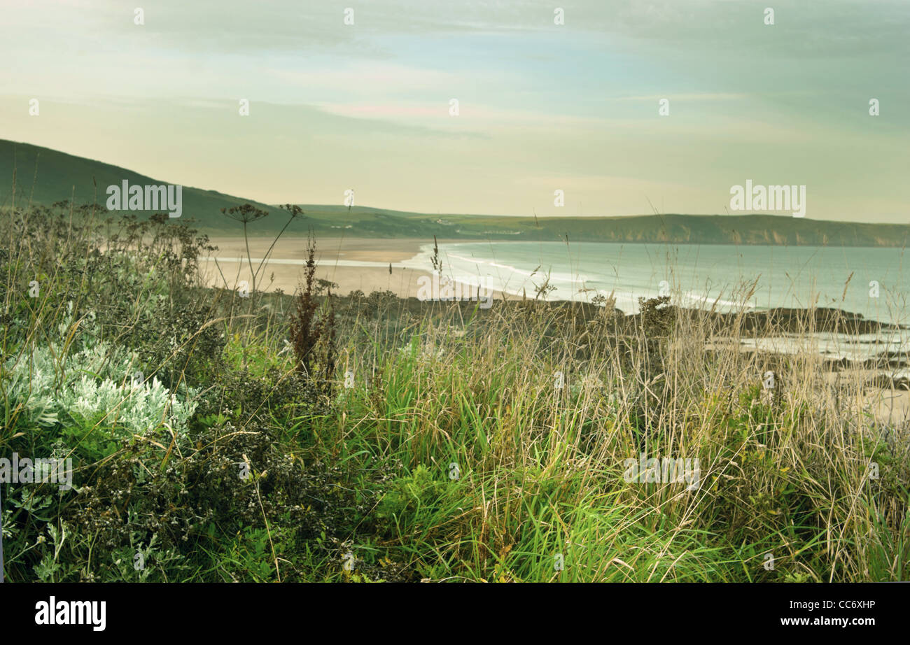 View of Woolacombe bay in the early summer morning, seen  from the heathery, grassy , adjacent cliff  edge Stock Photo