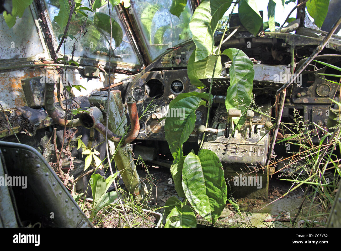 Interior cockpit view of crashed Russian Plane in the Peruvian Amazon Vines and plants grow out of control Stock Photo