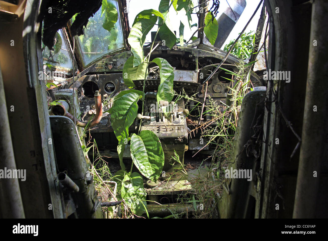 Interior view of crashed Russian Plane in the Peruvian Amazon Vines and plants growing out of control Stock Photo