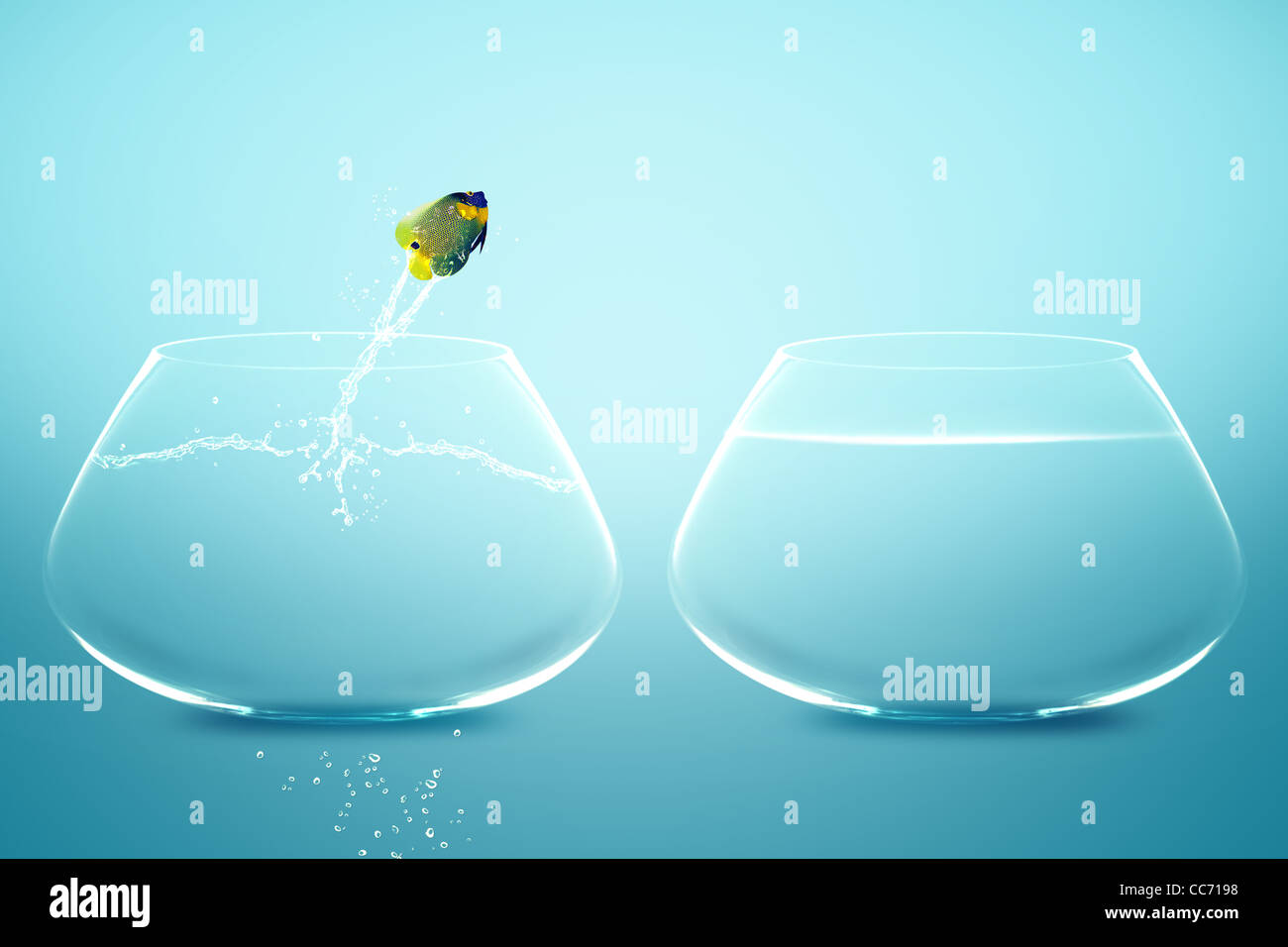 Anglefish jumping to Big bowl, Good Concept for new life, Big Opprtunity, Ambition and challenge concept. Stock Photo