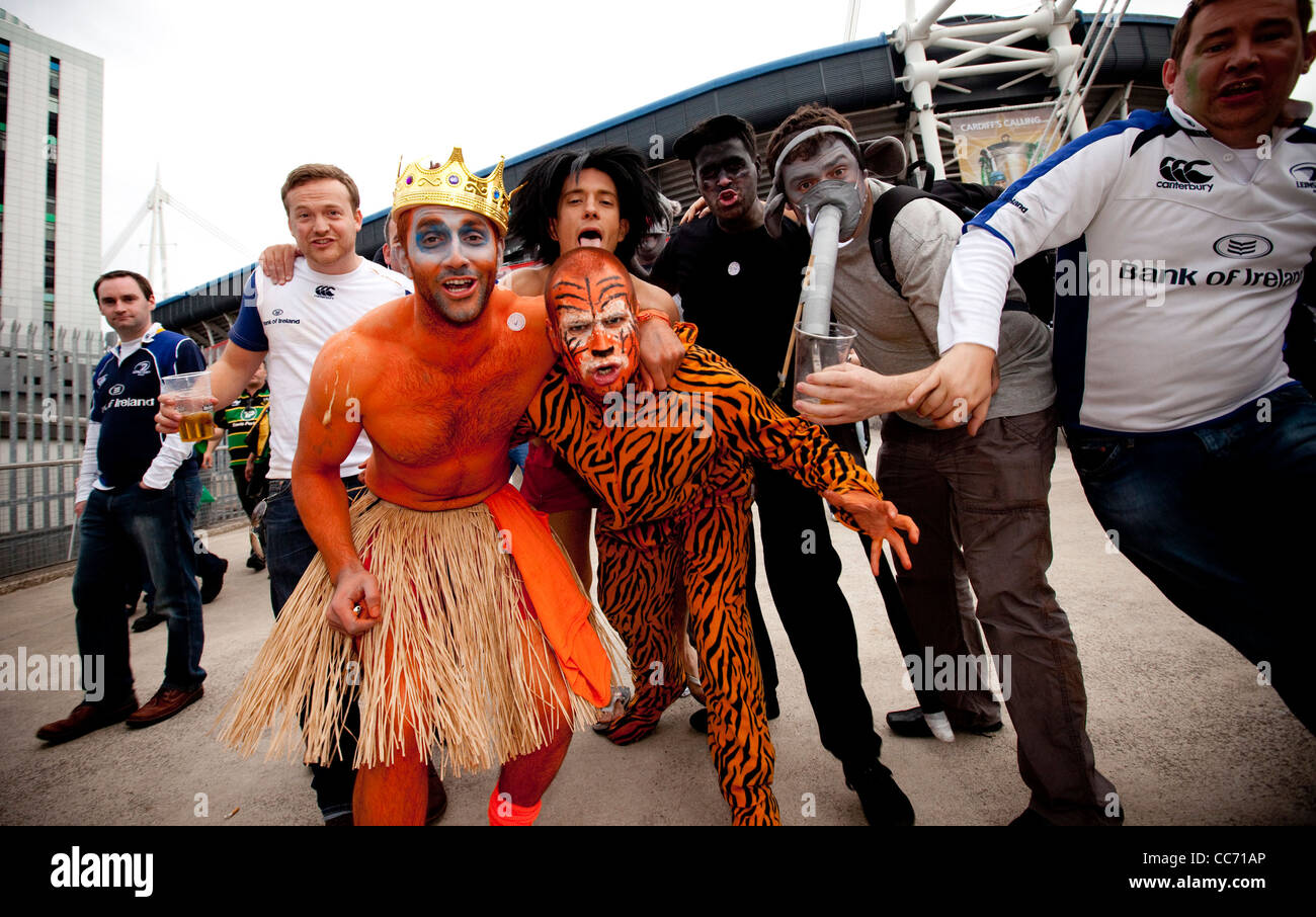 Leinster fans celebrate their side's win over Northampton to be crowned Heineken Cup Champions. Stock Photo
