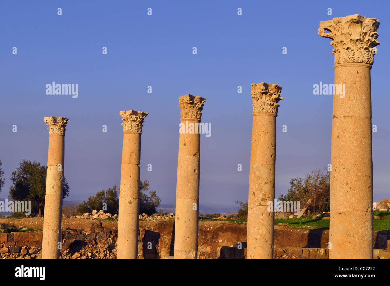 Roman Corinthian columns Stock Photo