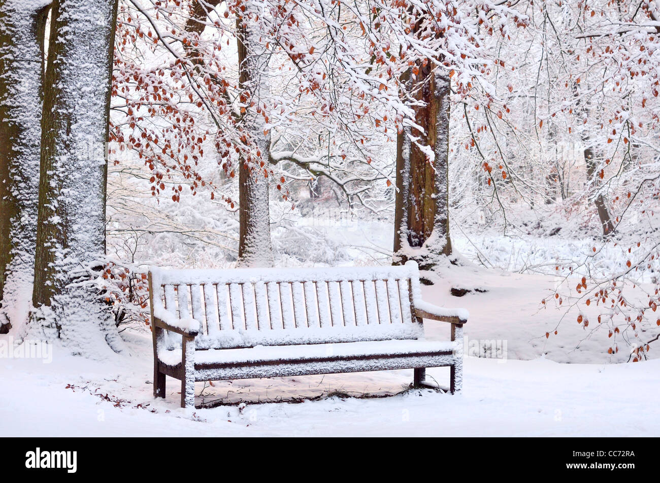 Bench covered in snow in beech forest at town park in winter, the Netherlands Stock Photo
