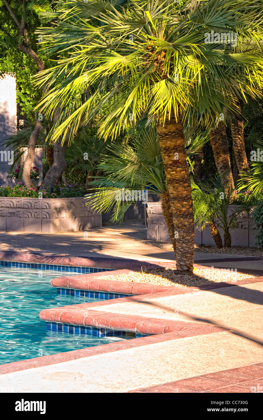 Pool and palm tree at the Biltmore Resort in Phoenix, Arizona Stock Photo