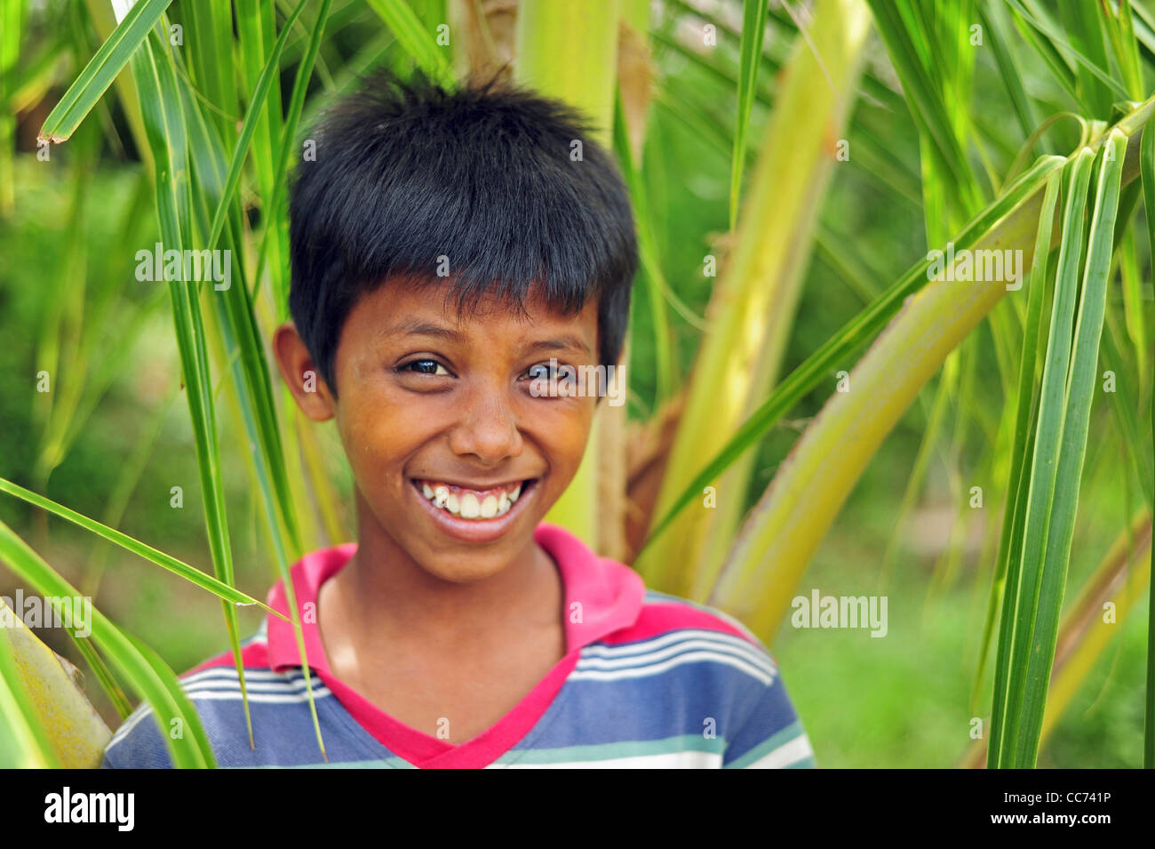 Indonesia, Sumatra, Banda Aceh, portrait of young boy amidst green vegetation Stock Photo