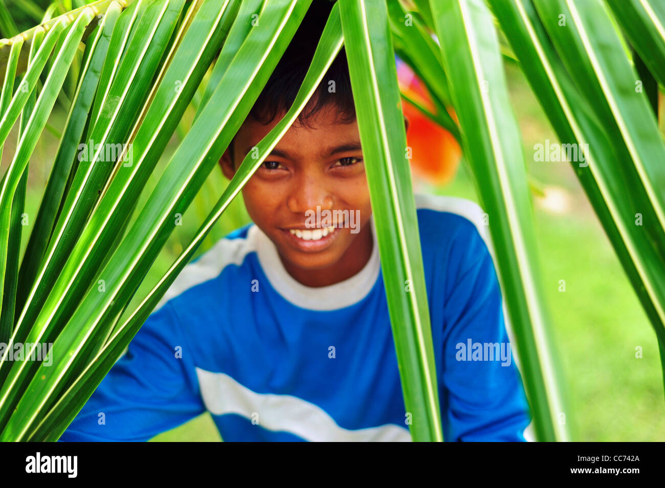 Indonesia, Sumatra, Banda Aceh, portrait of young boy amidst green vegetation Stock Photo