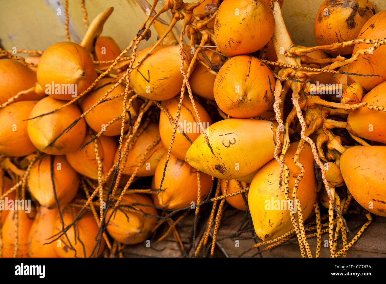 Coconuts for sale, Sri Lanka Stock Photo