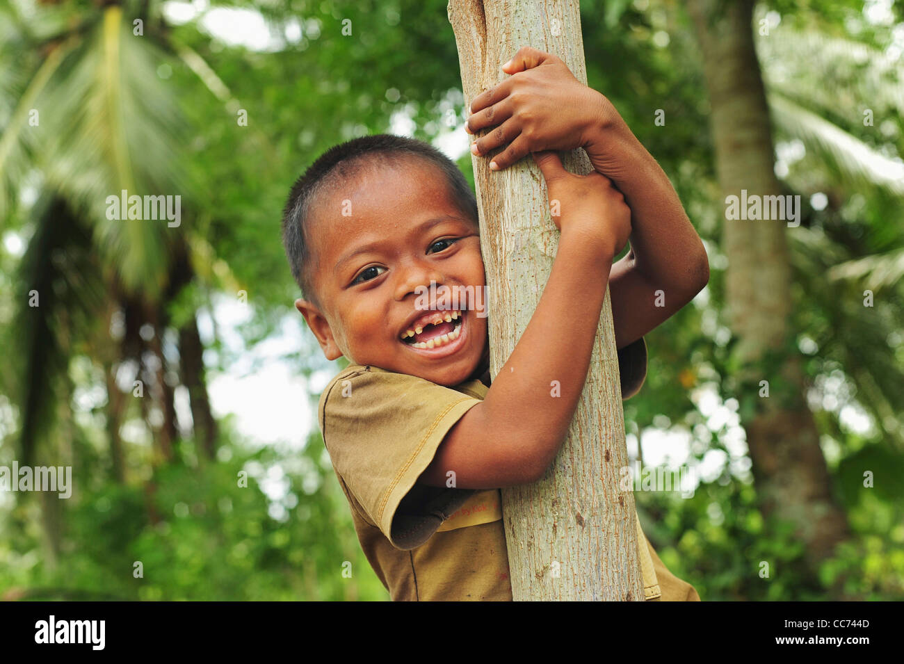 Indonesia, Sumatra, Banda Aceh, young smiling boy climbing tree Stock Photo