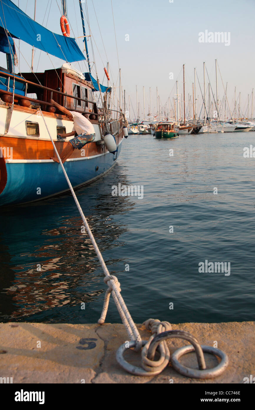 Asia, Europe, Turkey, Bodrum. Tour boats in the harbor Stock Photo