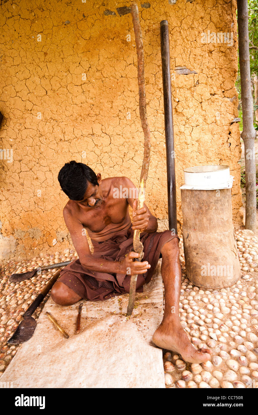 A Sri Lankan local making cinnamon in Koggala, Sri Lanka Stock Photo
