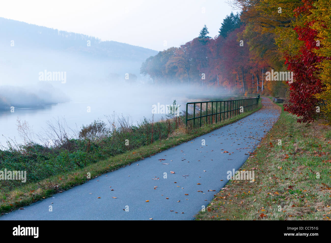 Bicycle Path, along the River Weser, with Autumn Mist, Lower Saxony, Germany Stock Photo