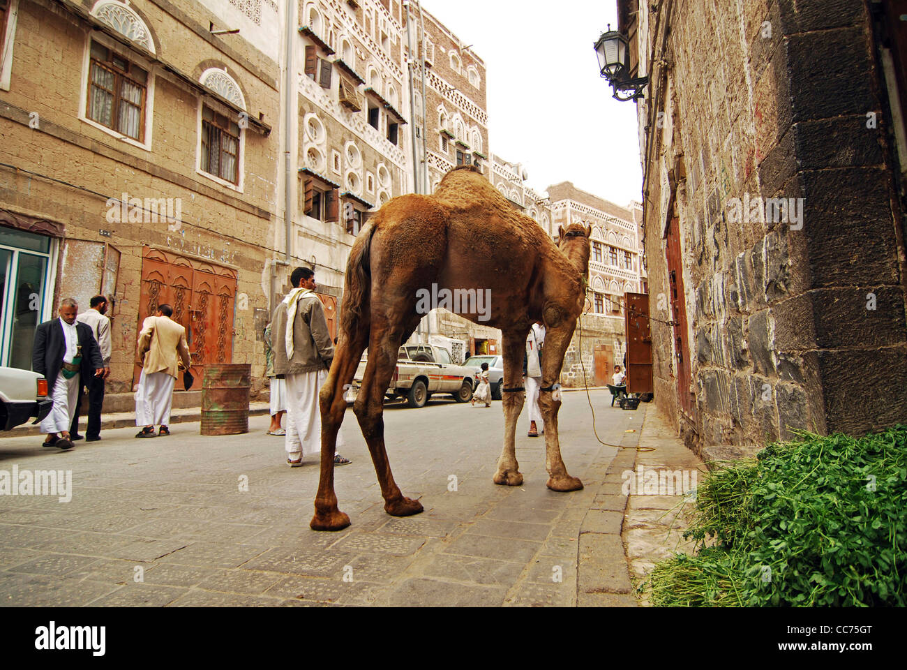 Yemen, Sanaa, rear view of people walking on street with camel standing by door outside building Stock Photo