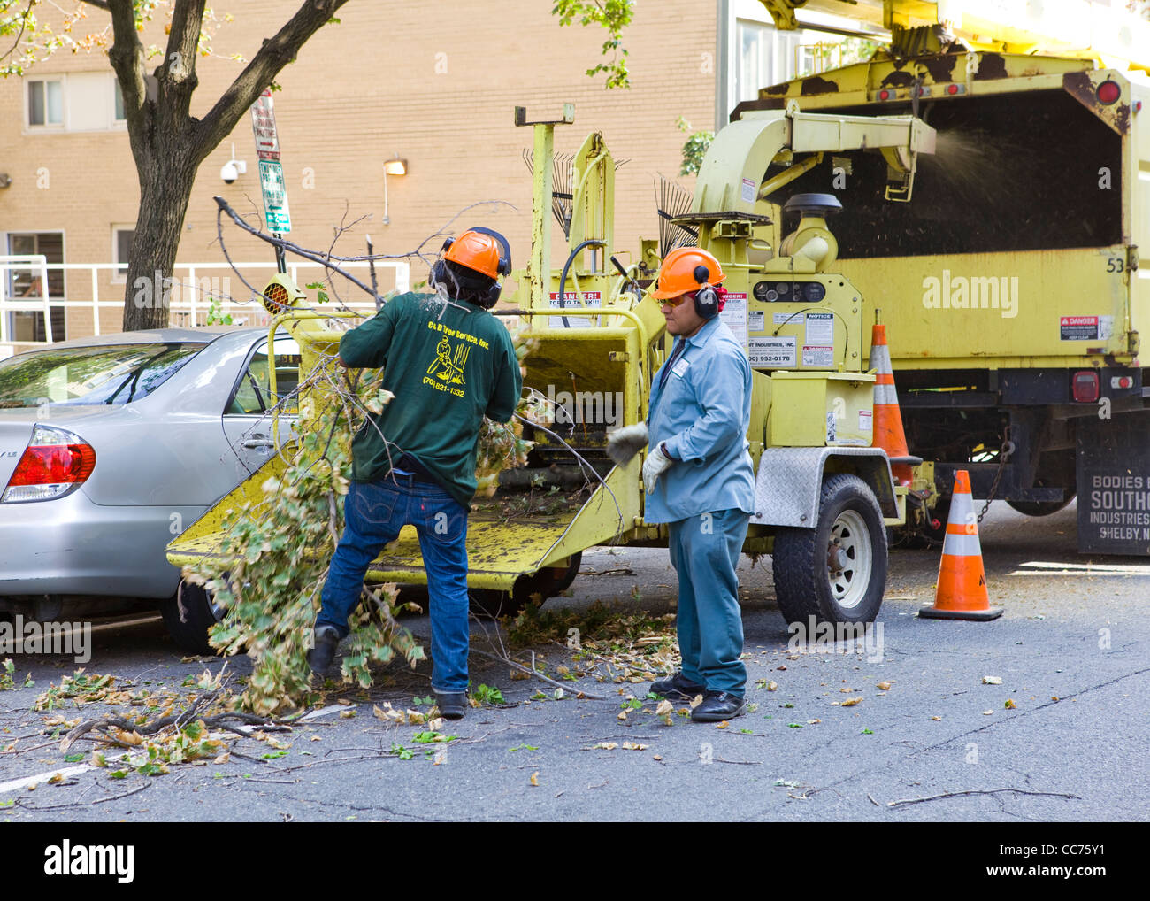 Tree removal workers loading large limb into shredder - USA Stock Photo