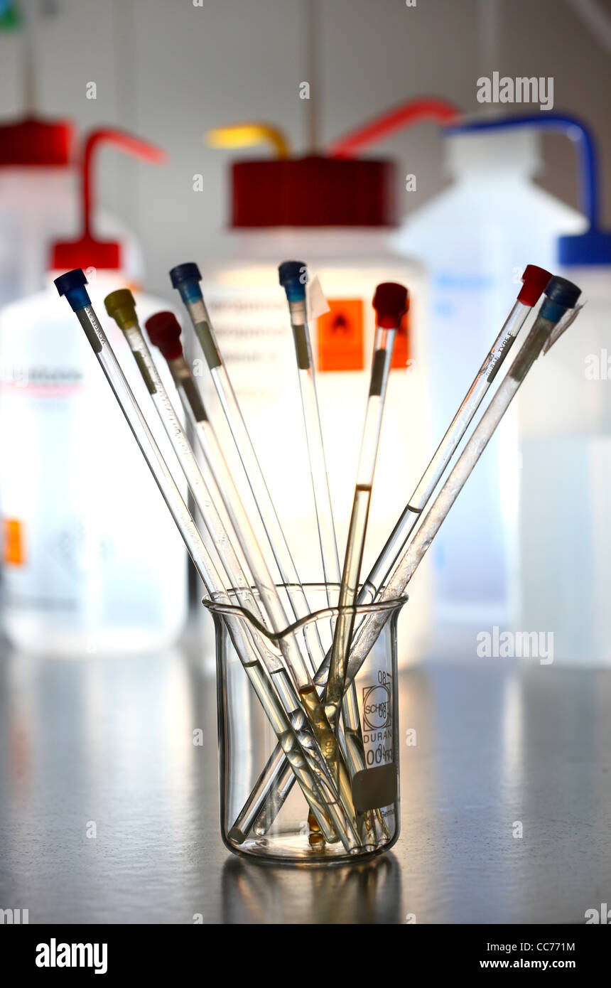 Chemicals in testtubes. Liquid chemicals in a chemical laboratory