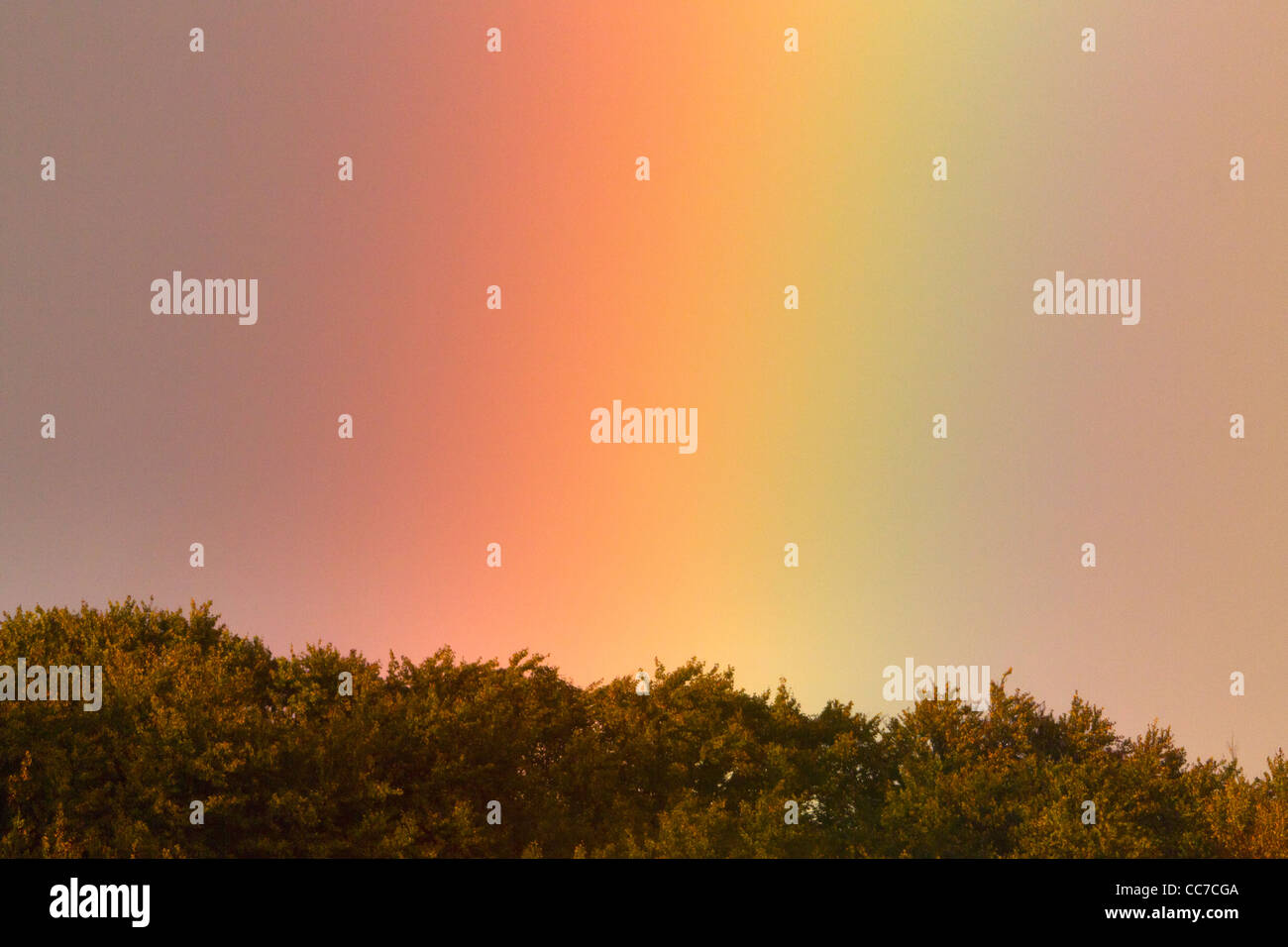 Rainbow Spectrum Colours, over Woodland, Klampenborg Royal Park, Sjaelland, Denmark Stock Photo