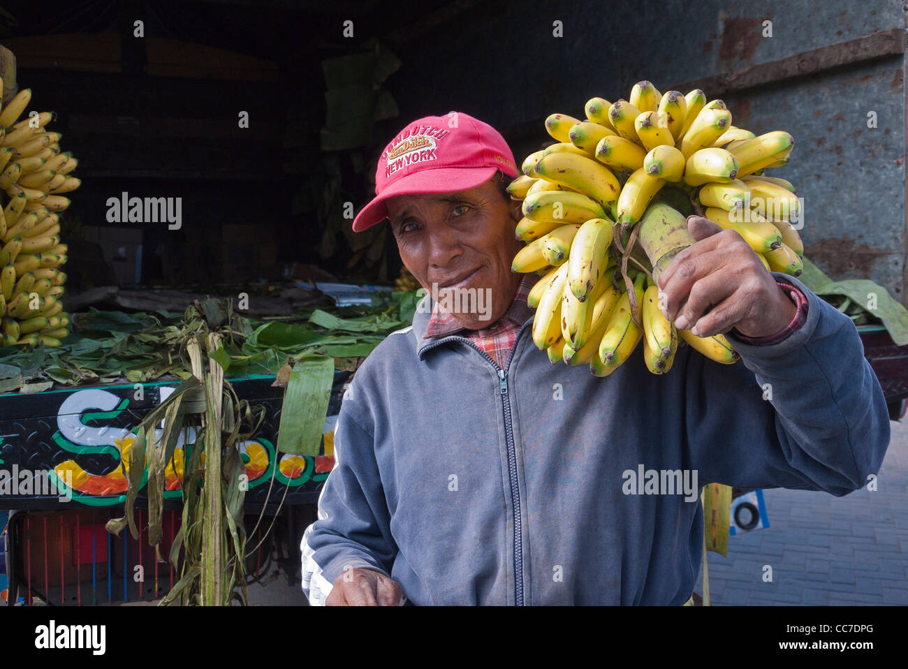 A delivery man carries a very large bunch of yellow bananas on his