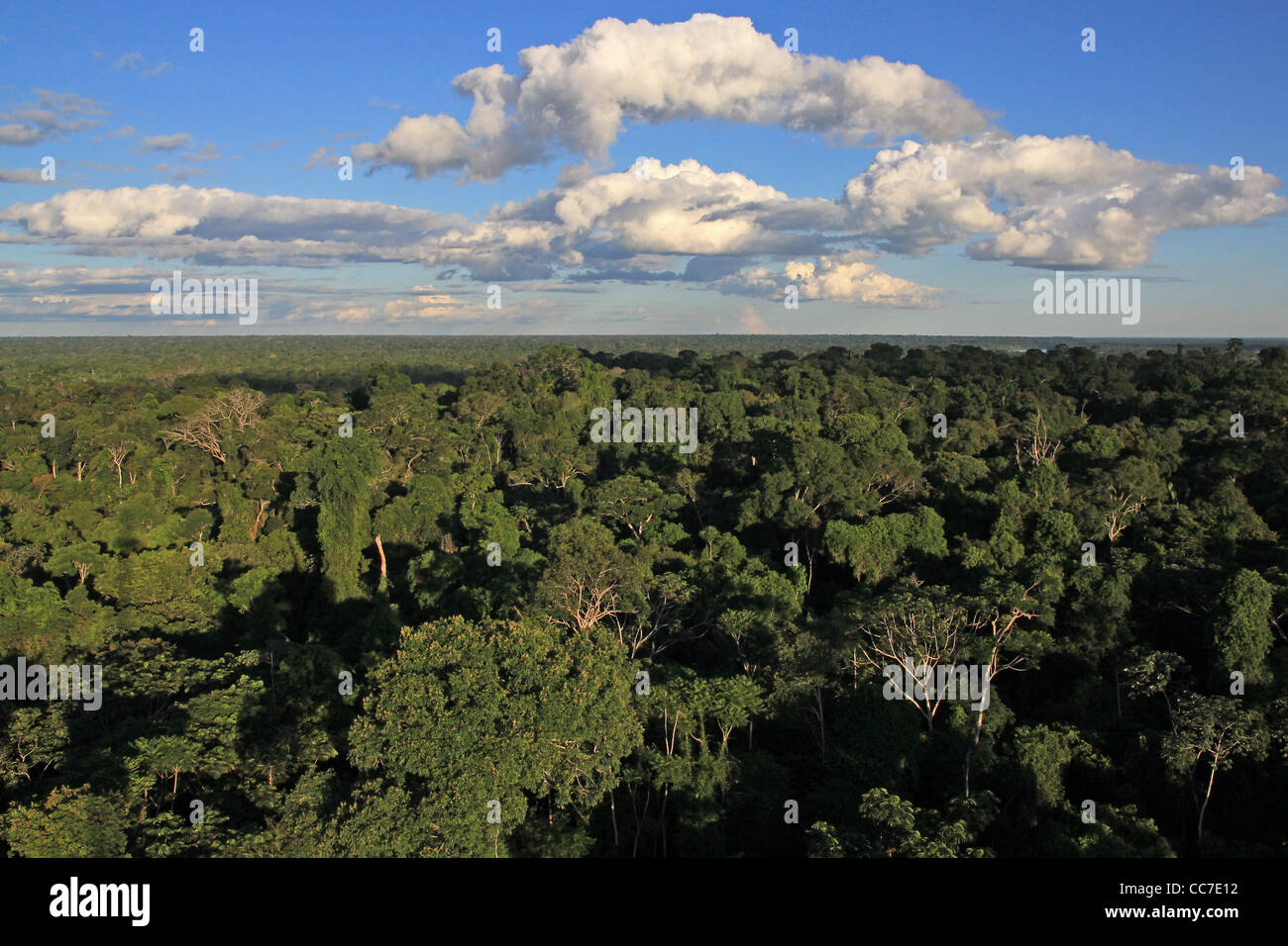 Primary Rain Forest viewed from the air in the Madre de Dios Region, Peru Stock Photo