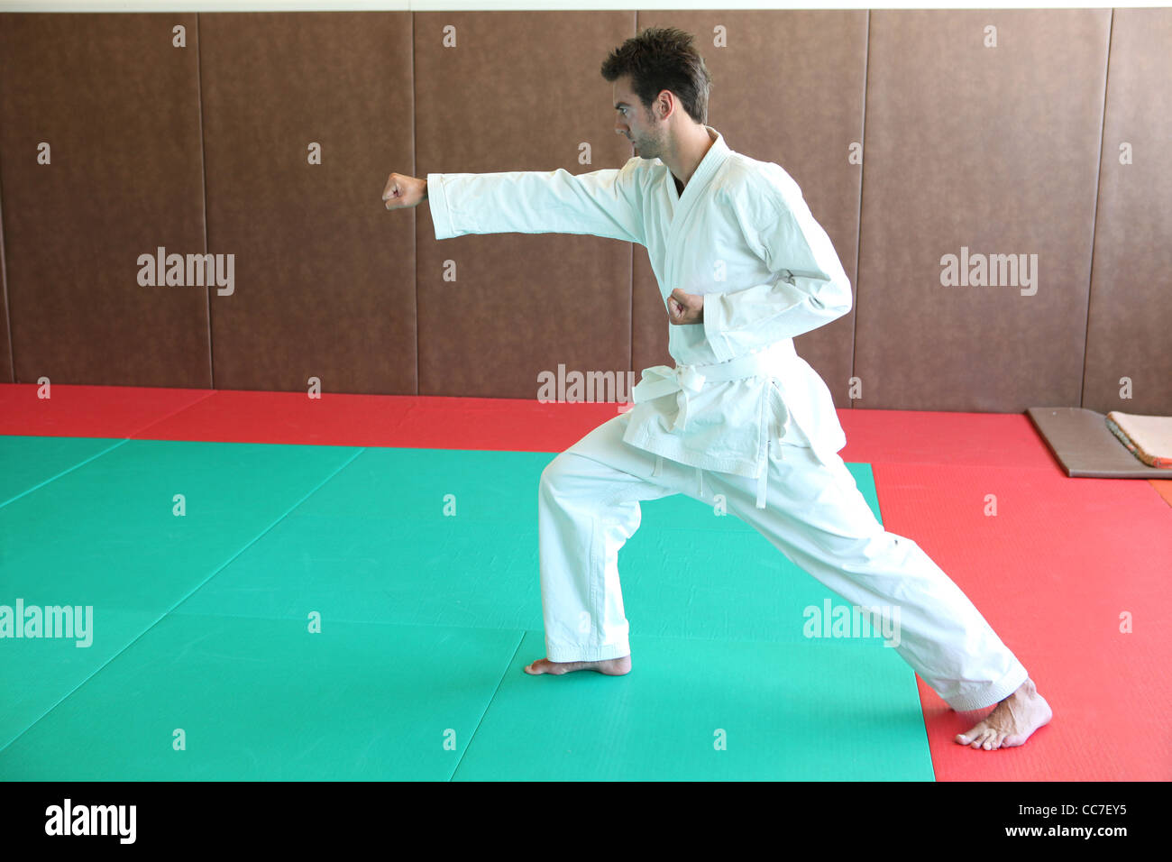 judoka on tatami Stock Photo Alamy