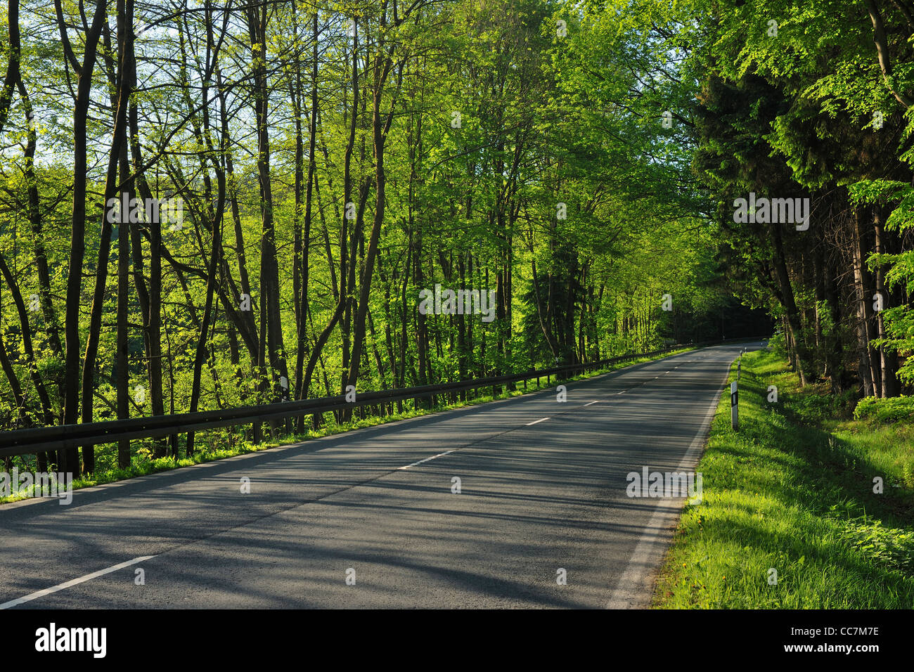 Road in Forest, Arnsberg, Hochsauerland, North Rhine-Westphalia, Germany Stock Photo