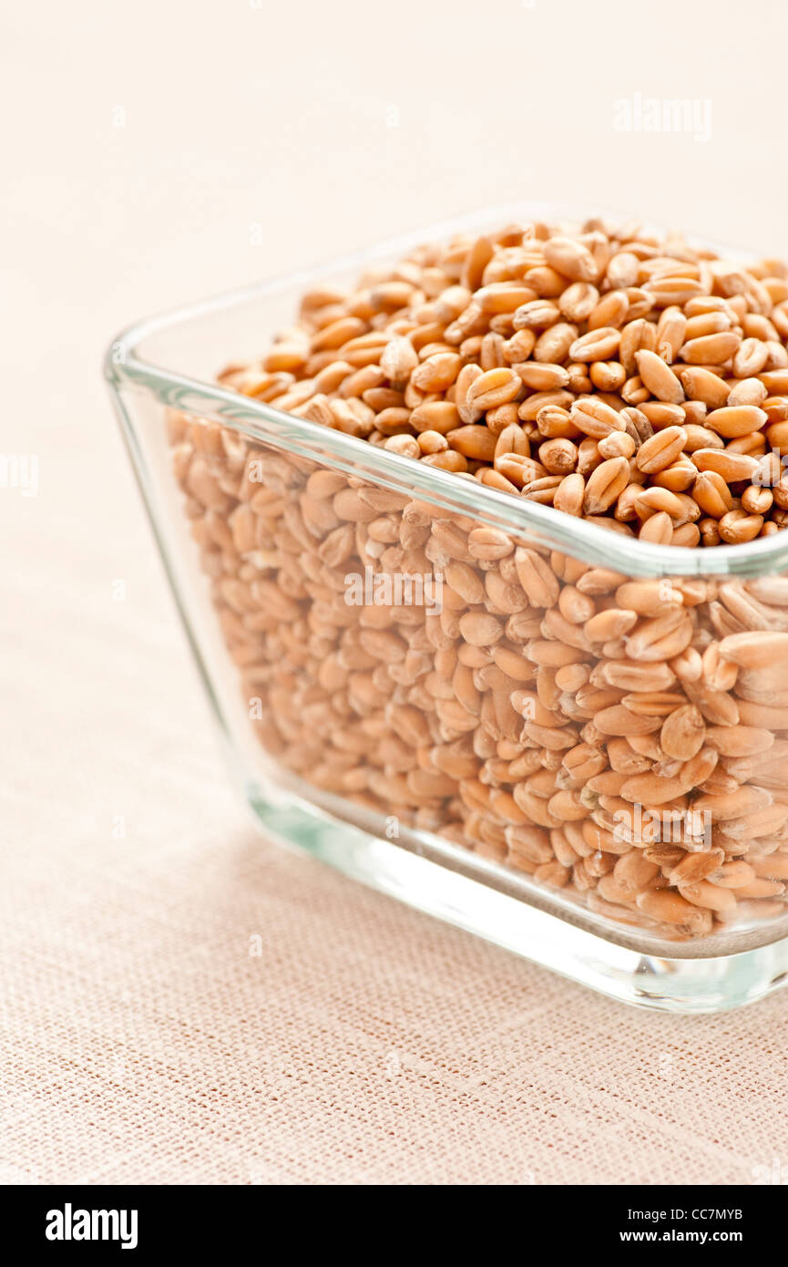 Glass bowl filled with organic Wheat grain Stock Photo