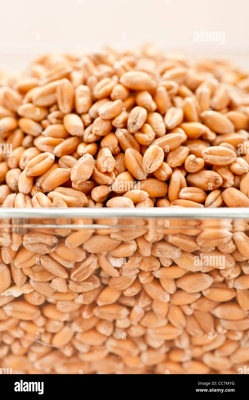 Glass bowl filled with organic Wheat grain Stock Photo