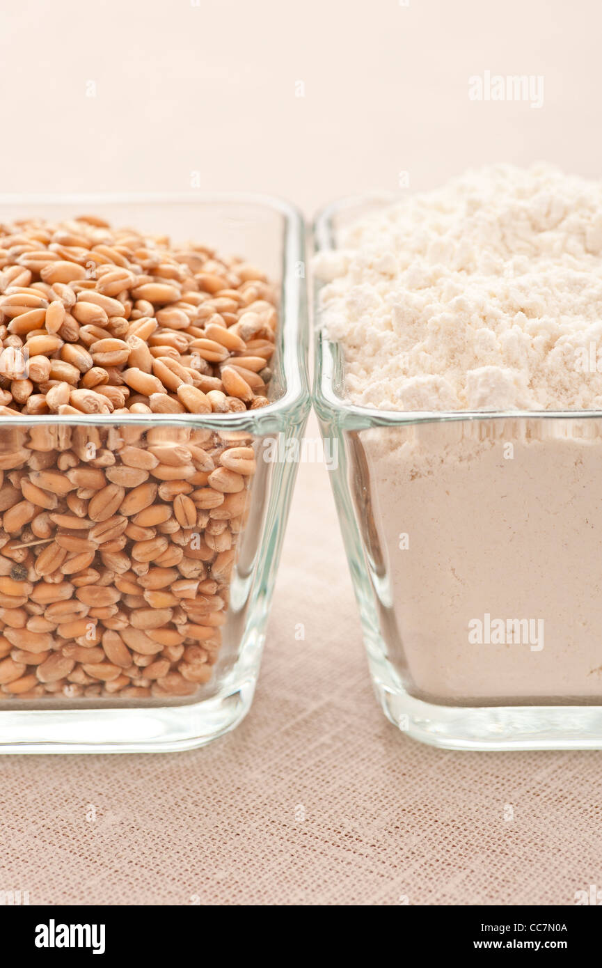 Organic wheat grain and organic wheat flour Stock Photo