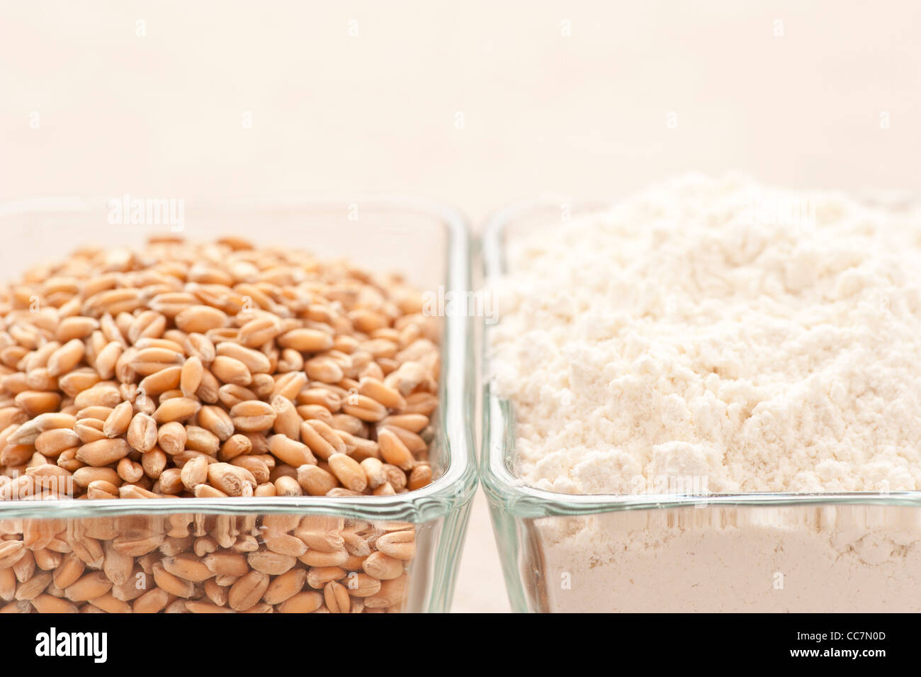 Organic wheat grain and organic wheat flour Stock Photo