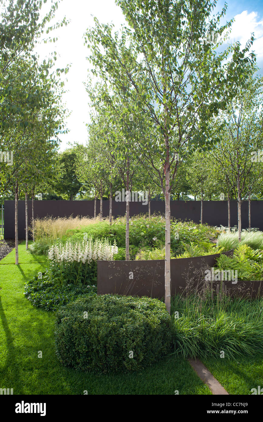 Contemporary garden design. Silver birch. Stock Photo