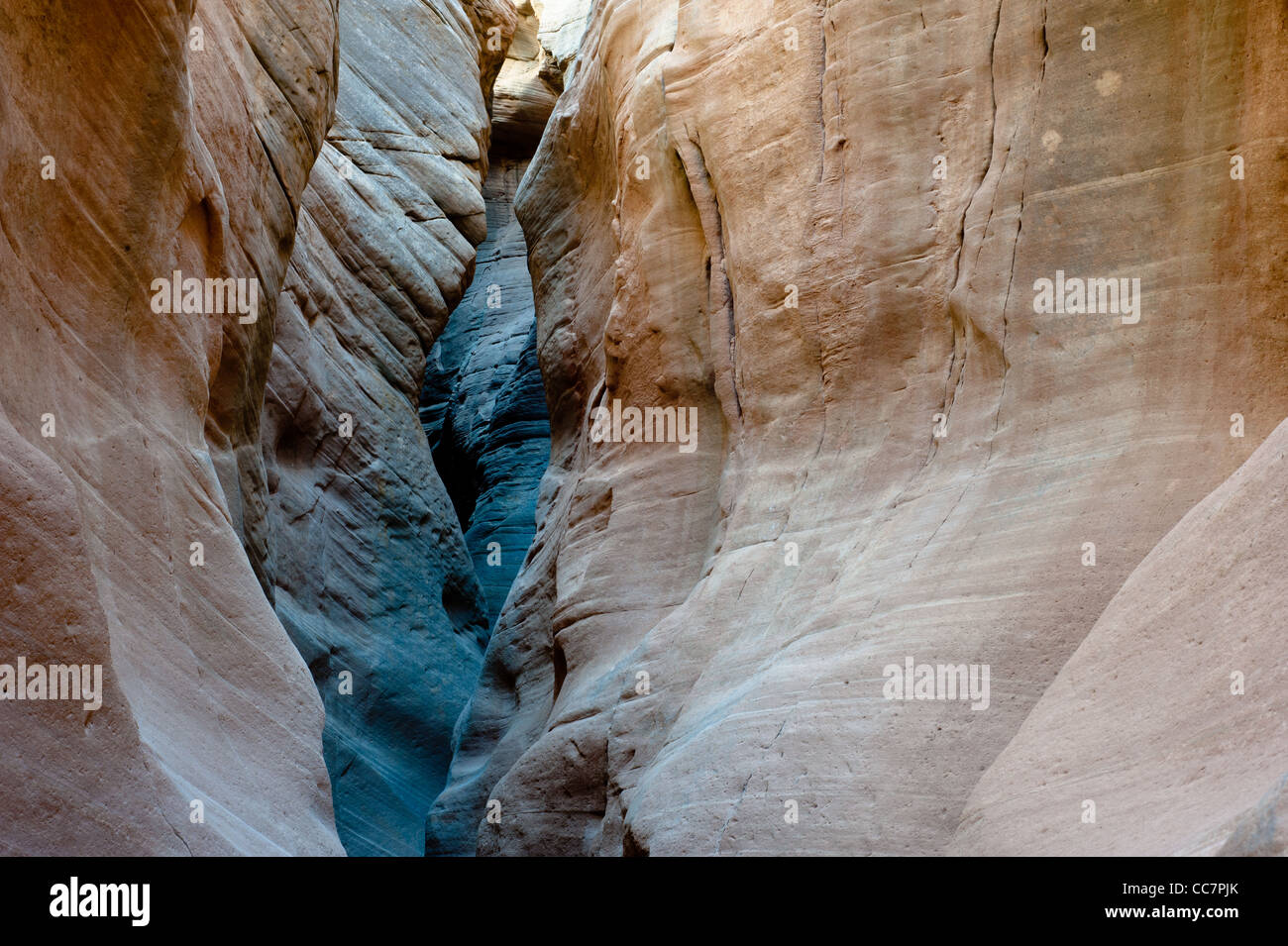 Bull valley gorge slot canyon, Grand Staircase National Monument (GSNM), Utah, USA Stock Photo