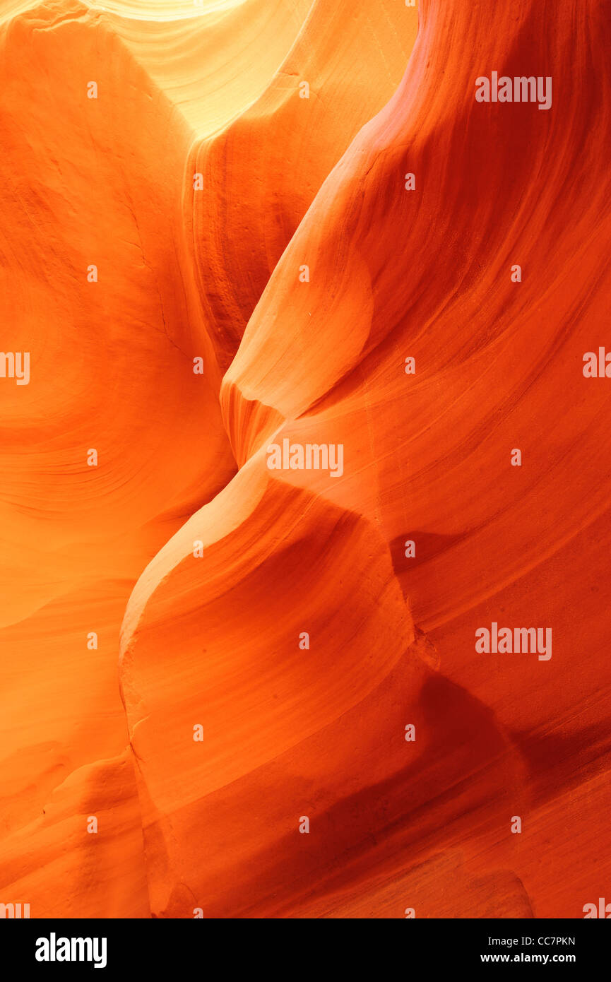 Canyon x hires stock photography and images Alamy