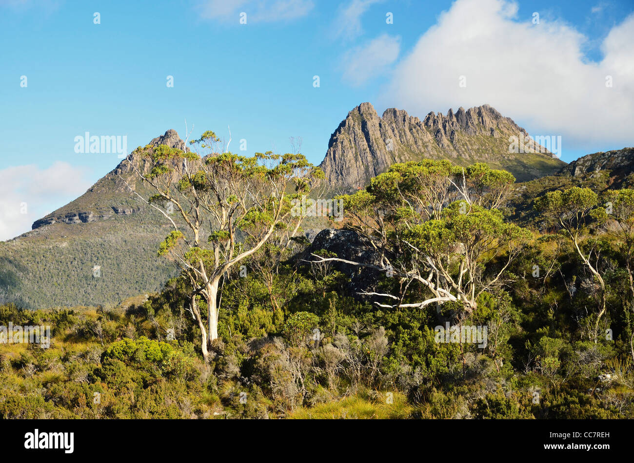 Cradle Mountain, Cradle Mountain-Lake St Clair National Park, UNESCO World Heritage Area, Tasmania, Australia Stock Photo