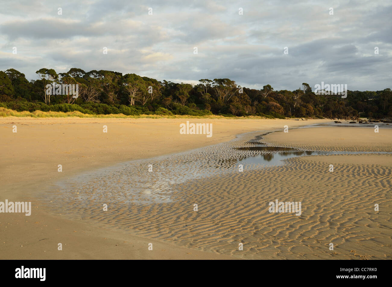 Shore at Anderson Bay, Bridport, Tasmania, Australia Stock Photo
