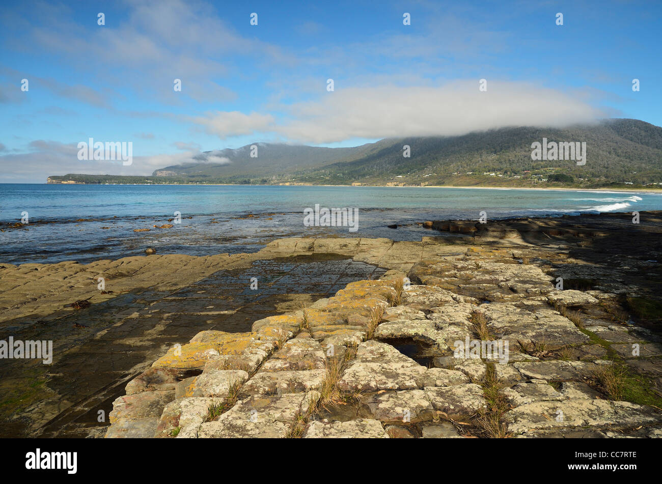 Tessellated Pavement, Pirates Bay, Tasman Peninsula, Tasmania, Australia Stock Photo Alamy