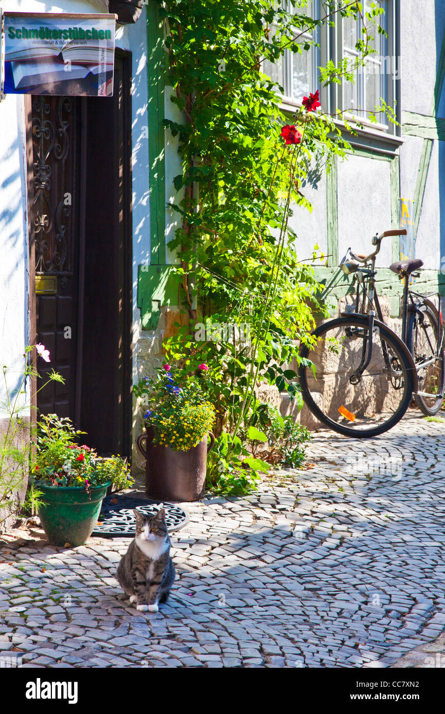 Cat sitting in a cobbled street of half-timbered medieval houses in the UNESCO World Heritage town of Quedlinburg, Germany. Stock Photo