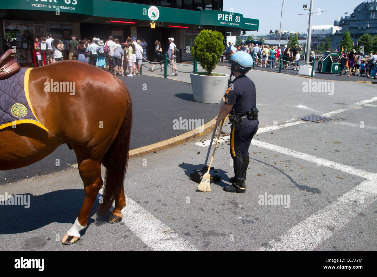 Horse manure in a city hires stock photography and images Alamy