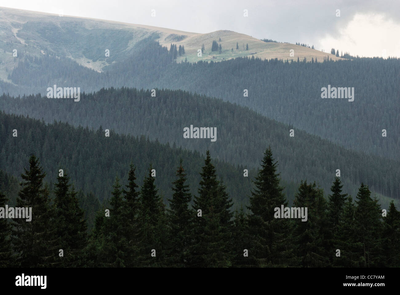 Carpathian mountains, Romania Stock Photo