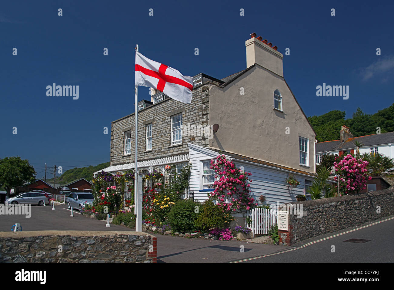 A cottage covered in climbing roses Cottage flies the flag of St George in Lyme Regis, Dorset, England, UK Stock Photo