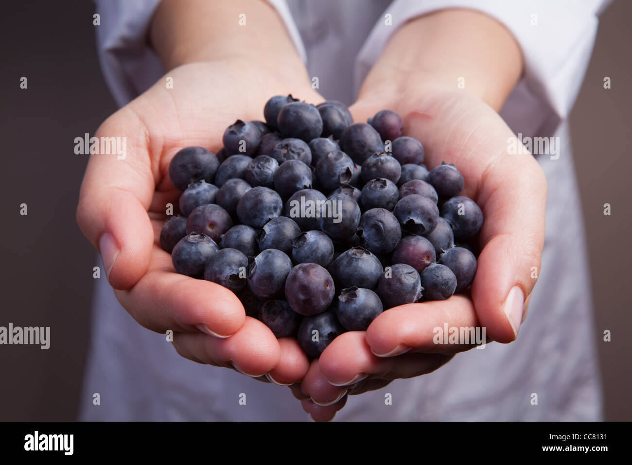 Blueberries-Vaccinium corymbosum Stock Photo