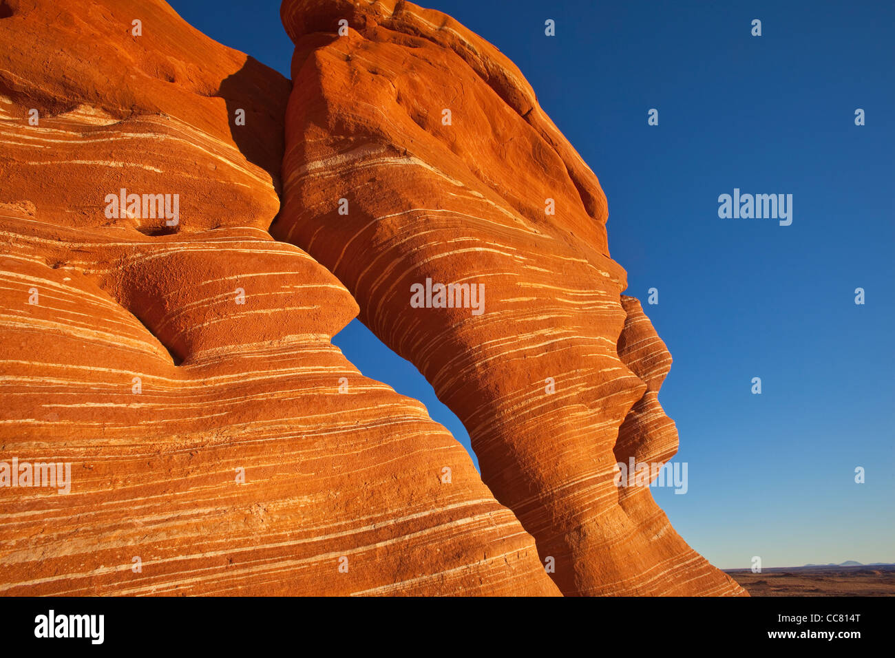 Sandstone, hoodoos, rock formations, of Ward Terrace, Navajo Nation, Coconino County, Arizona, USA Stock Photo