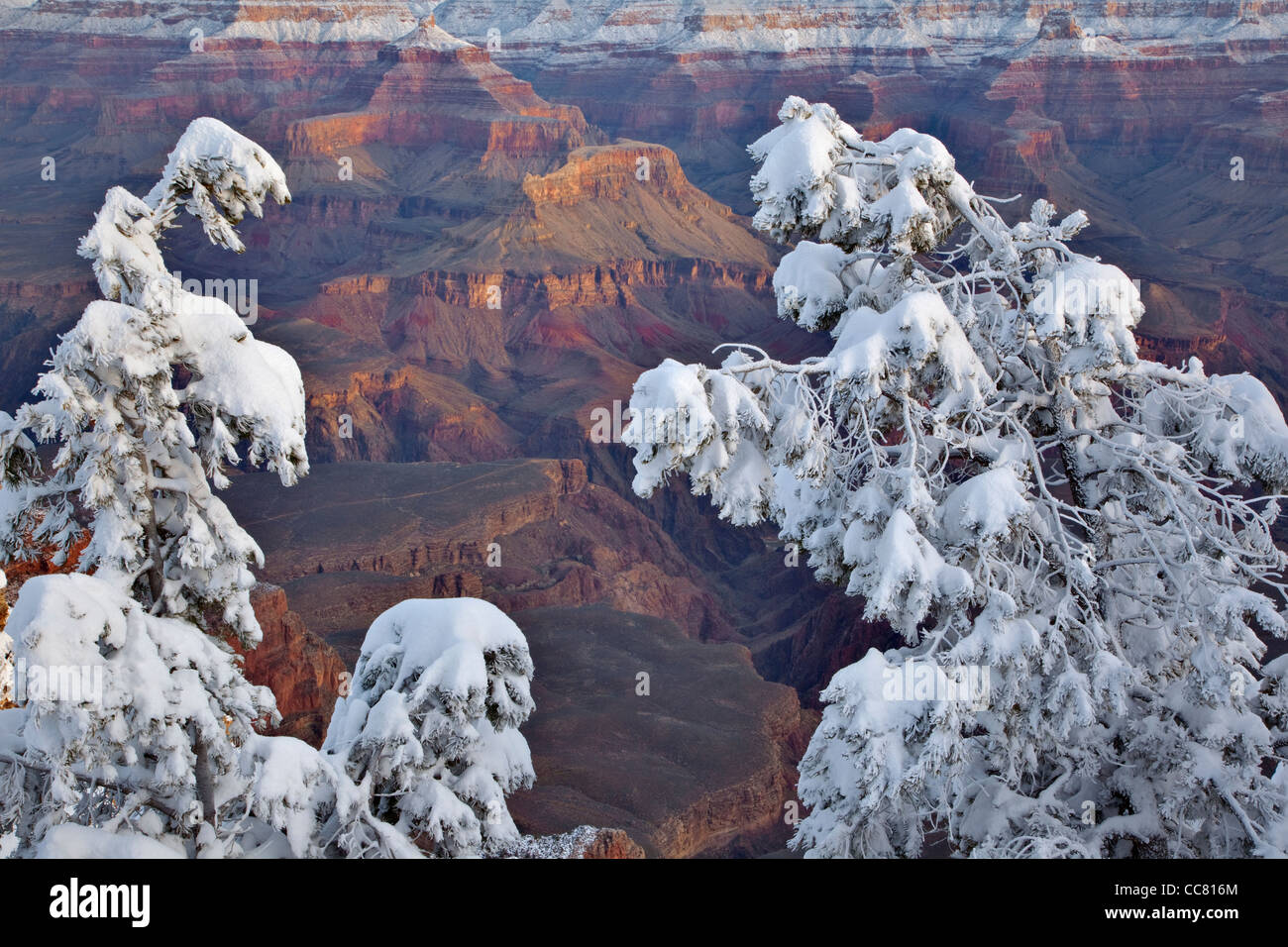 Winter view at Mather Point area on South Rim of Grand Canyon National Park, Arizona, USA Stock Photo
