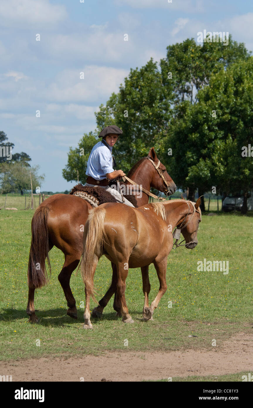 Argentina, Buenos Aires, San Antonio de Areco. Estancia El Ombu de Areco. Typical gaucho riding his horse across the pampas. Stock Photo