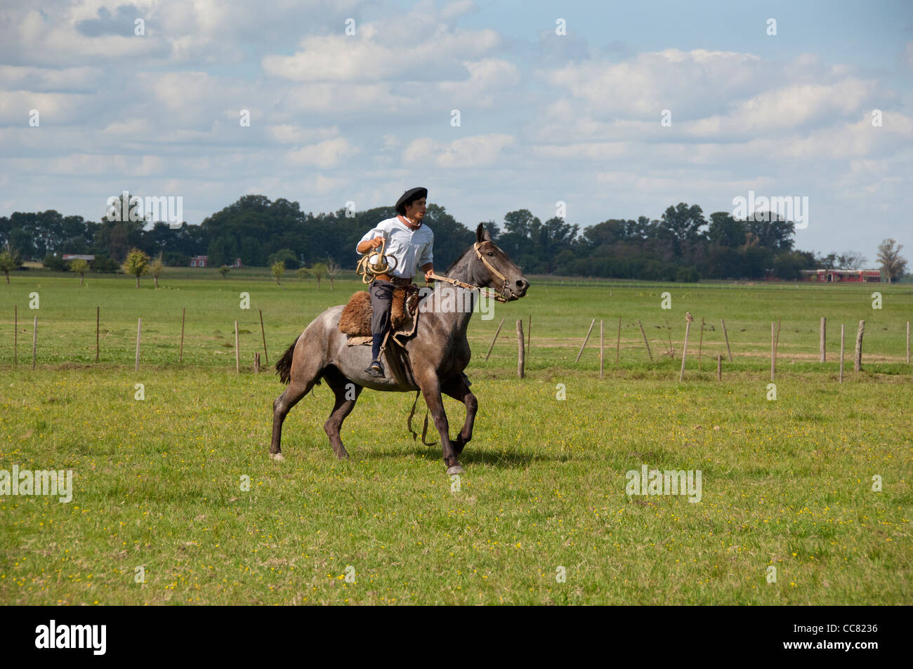 Argentina, Buenos Aires, San Antonio de Areco. Estancia El Ombu de Areco. Typical gaucho riding his horse across the pampas. Stock Photo