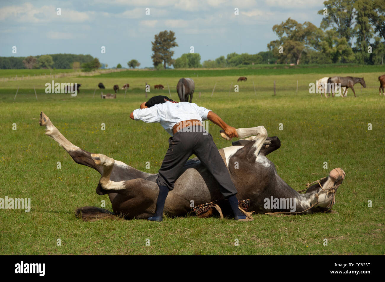 Argentina, Buenos Aires, San Antonio de Areco. Estancia El Ombu de