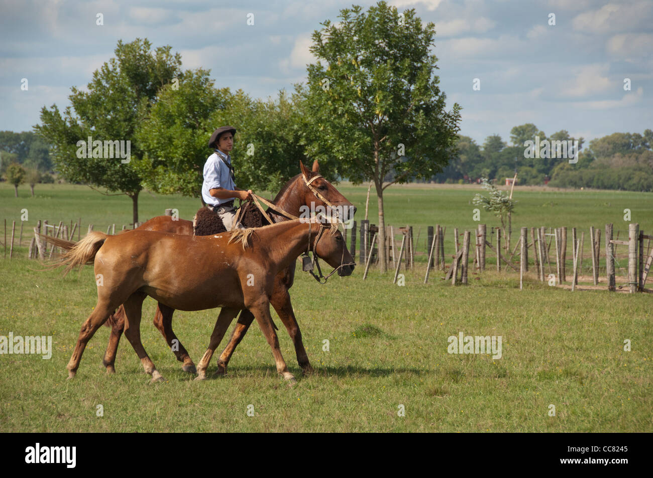 Argentina, Buenos Aires, San Antonio de Areco. Estancia El Ombu de Areco. Typical gaucho riding his horse across the pampas. Stock Photo