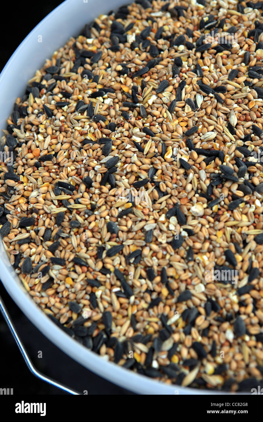 Bird seed in a plastic tub Stock Photo