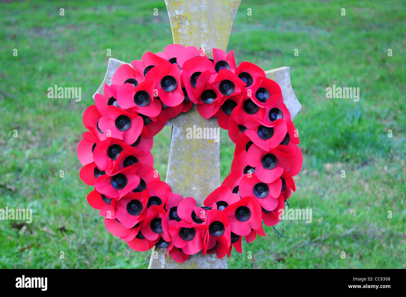 Poppy wreath on a tombstone. Stock Photo
