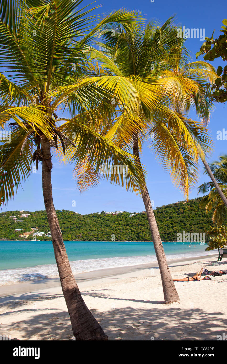 Suntanning at Megan's Bay Beach, St. Thomas, US Virgin Islands Stock Photo