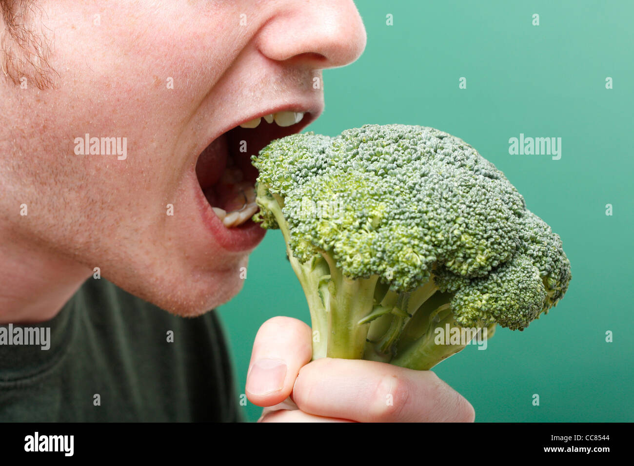 Broccoli Stock Photo
